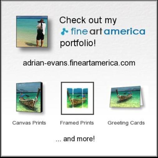 Adrian Evans Fineart America On-Line Shop